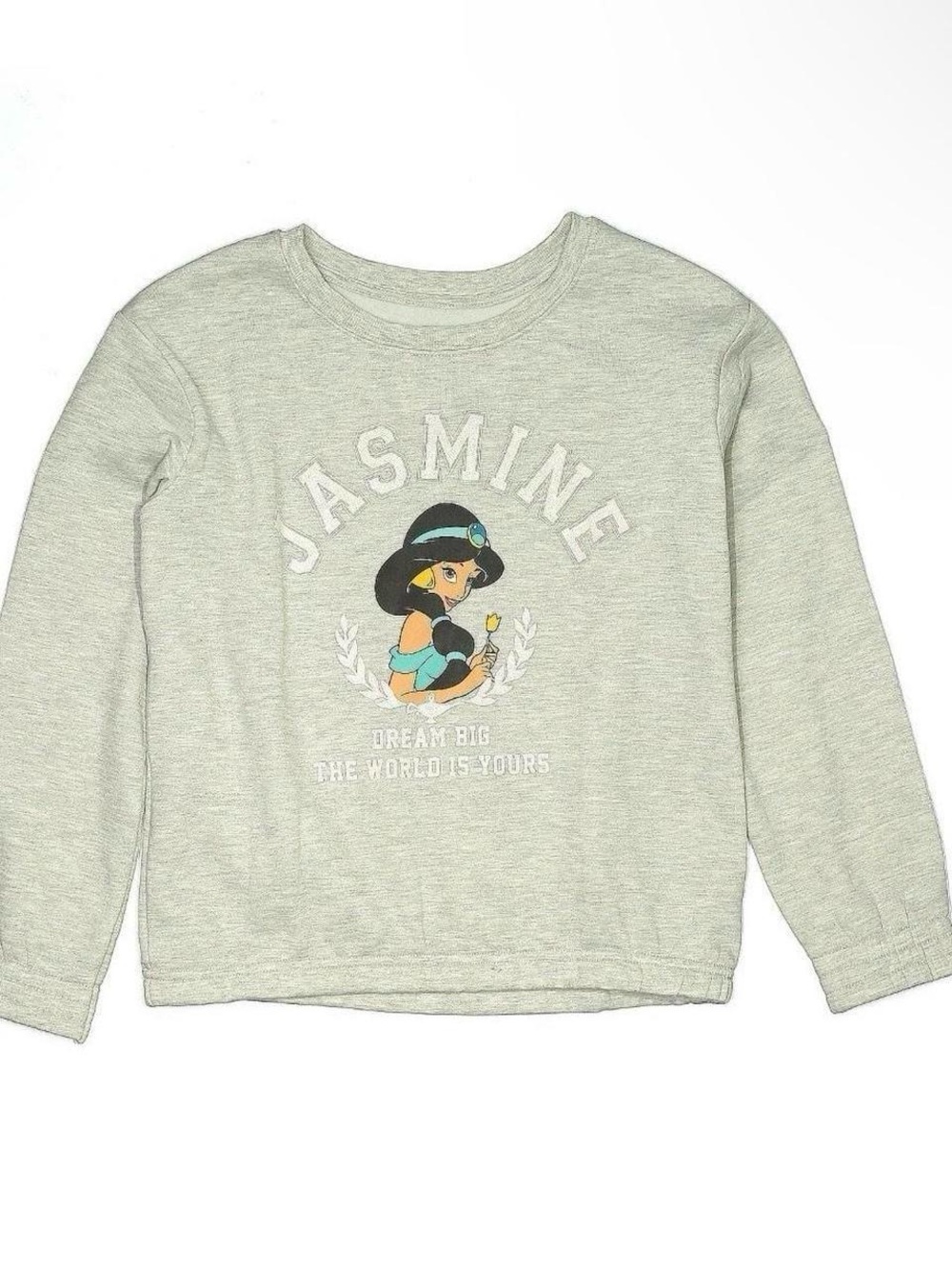 Disney Princess Jasmine Girls Plus Size XL Sweatshirt – “Dream Big The World